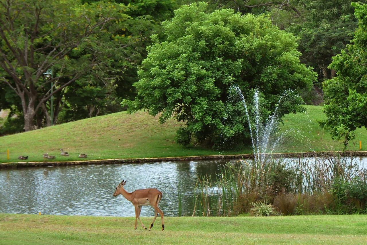 Kruger Park Lodge Unit No. 608B Hazyview Εξωτερικό φωτογραφία